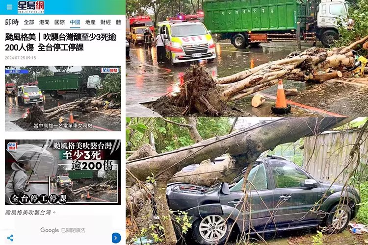 DM_20250319115626_014